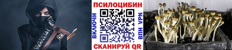 Псилоцибиновые грибы мухоморы  Купить закладки  Южно-Сахалинск 